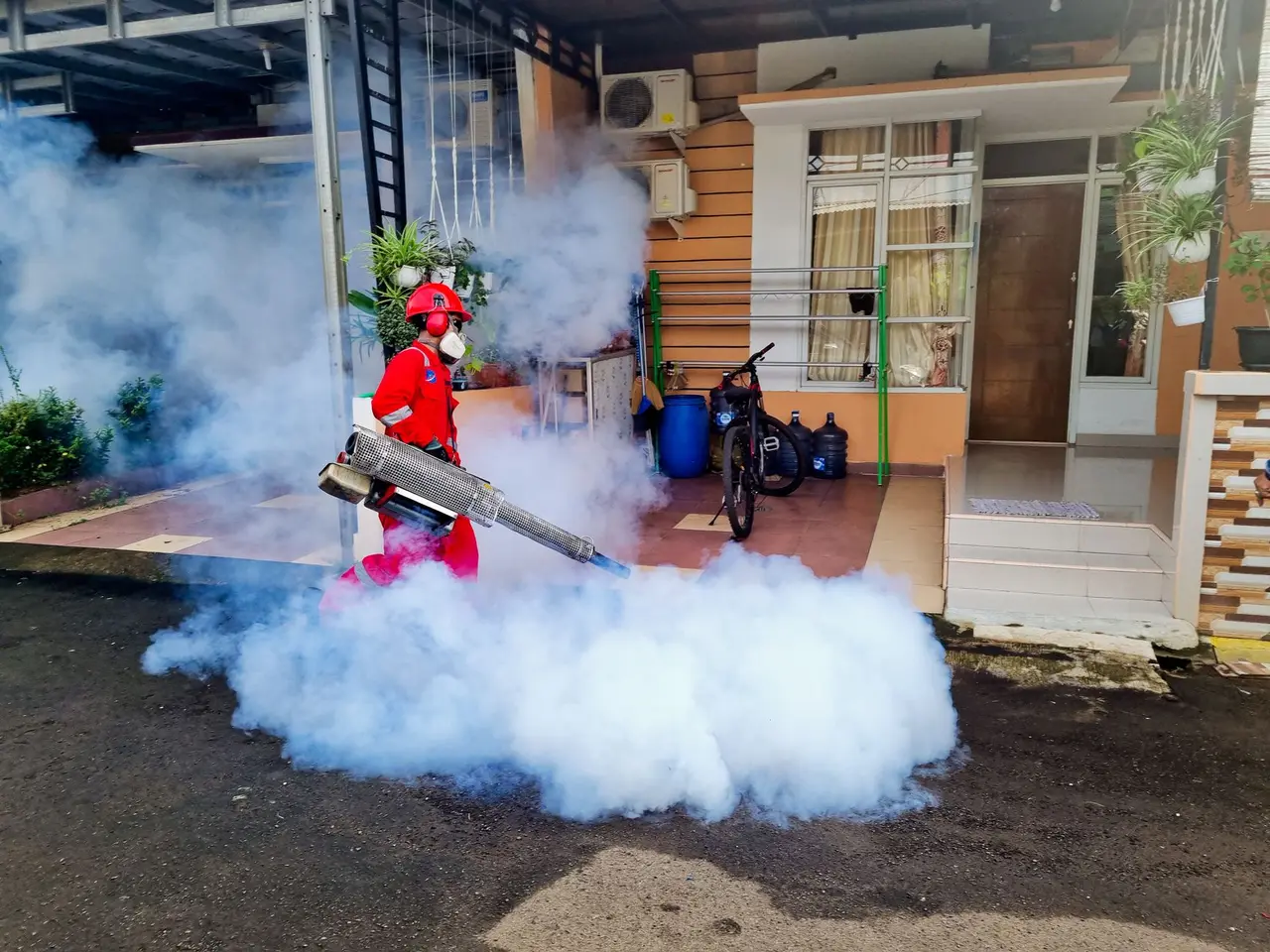 Fumigation Services in Malone
